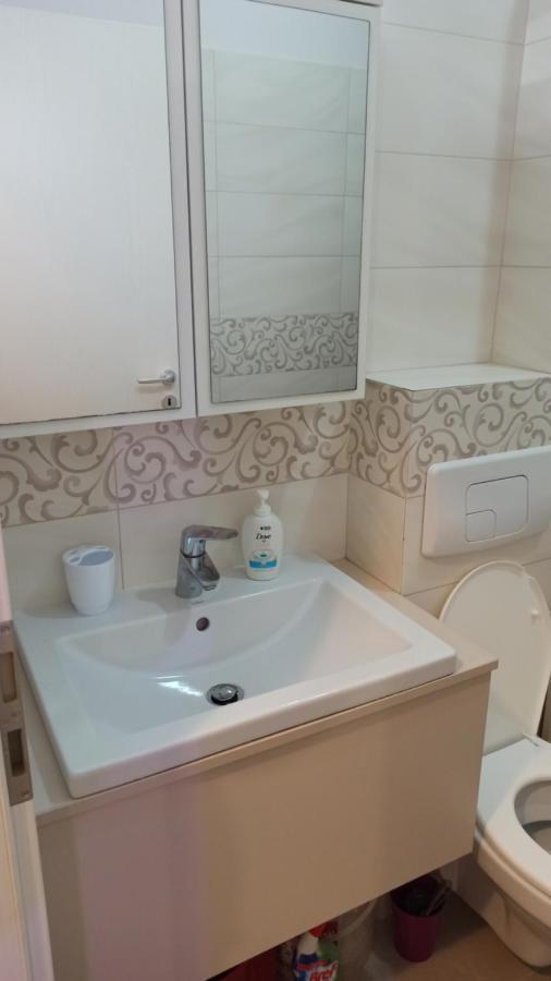 Cozy Home Bujorilor Тимишоара Экстерьер фото